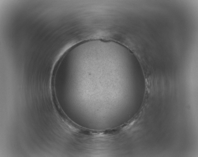 X0000066940196200604071921