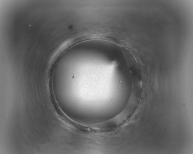 X0000066940197200604071921