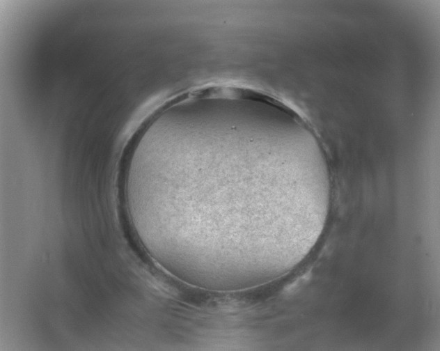 X0000066940199200604071921