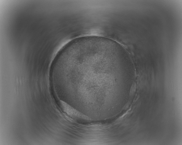 X0000066940200200604071921