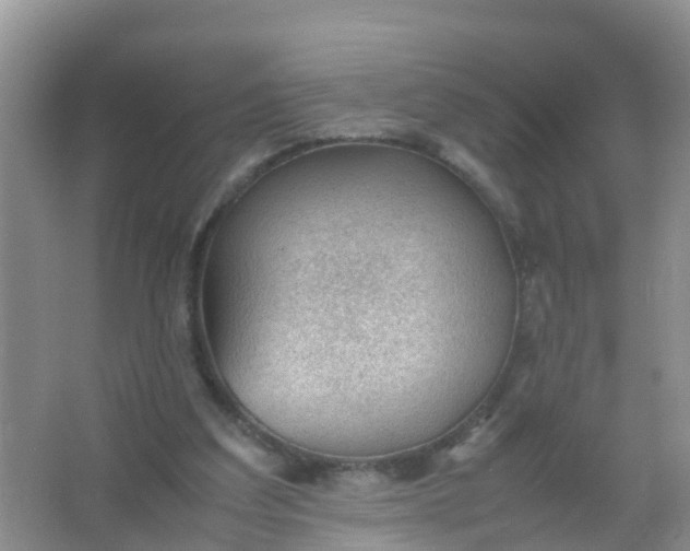 X0000066940203200604071921