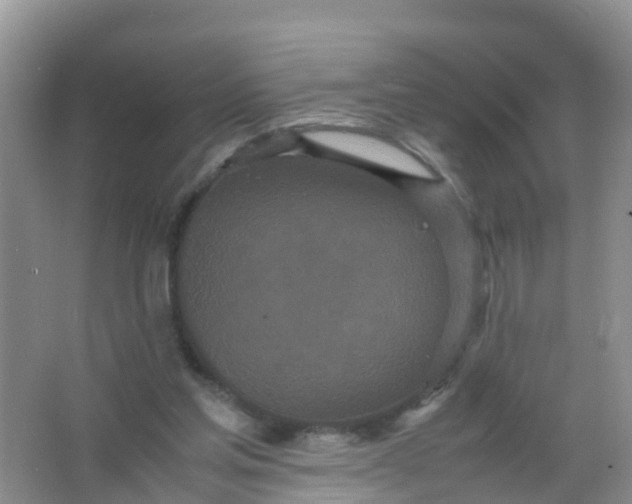 X0000066940205200604071921