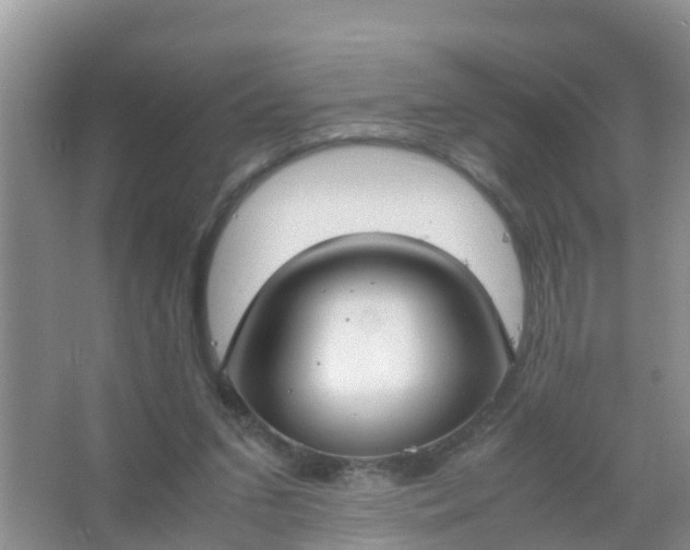 X0000066940207200604071921