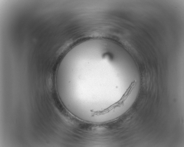 X0000066940208200604071921