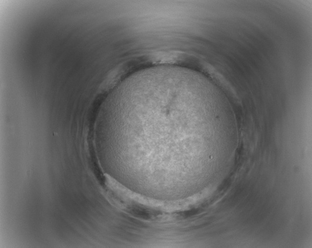 X0000066940209200604071921