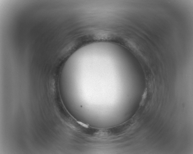 X0000066940211200604071921