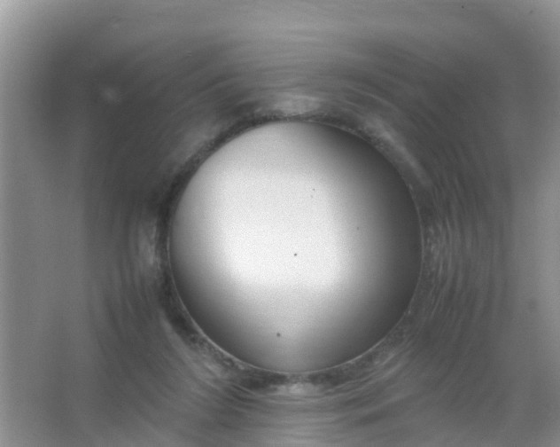 X0000066940212200604071921