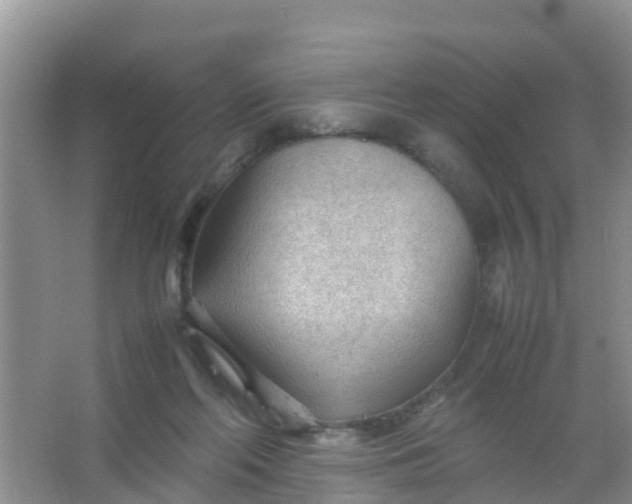 X0000066940214200604071921