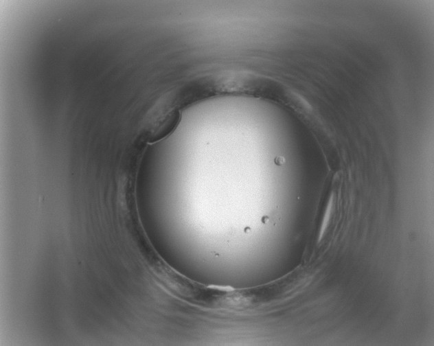 X0000066940217200604071921