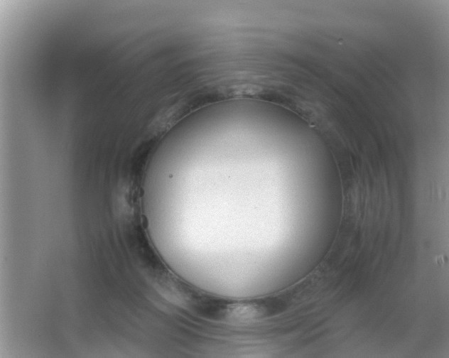 X0000066940218200604071921