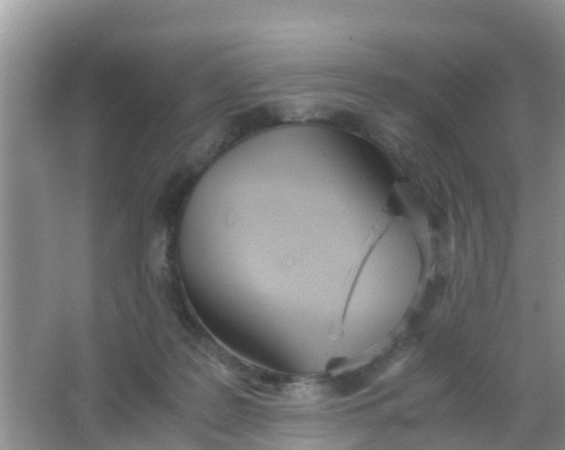 X0000066940219200604071921