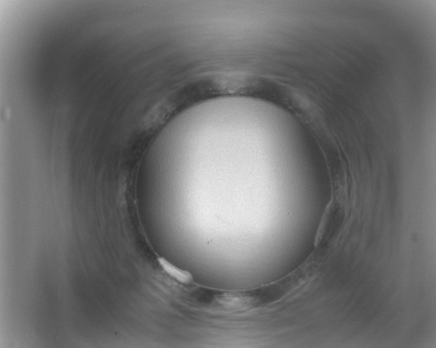 X0000066940221200604071921