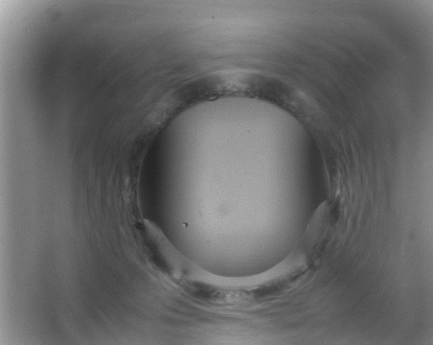 X0000066940223200604071921