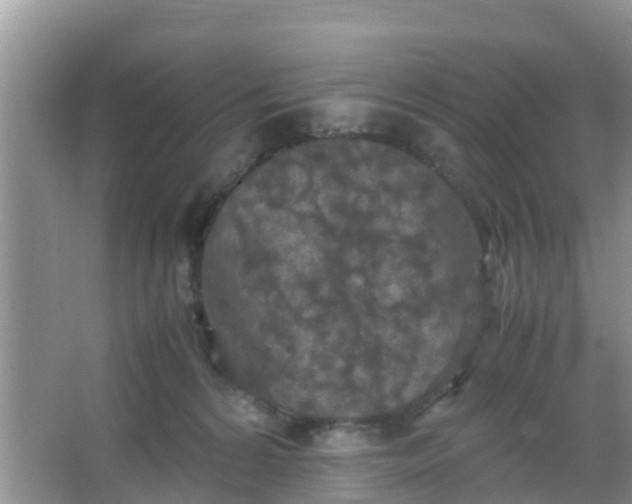 X0000066940224200604071921