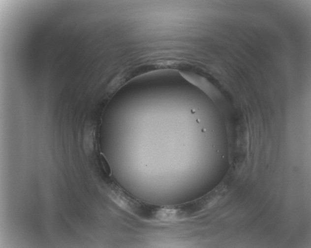 X0000066940227200604071920