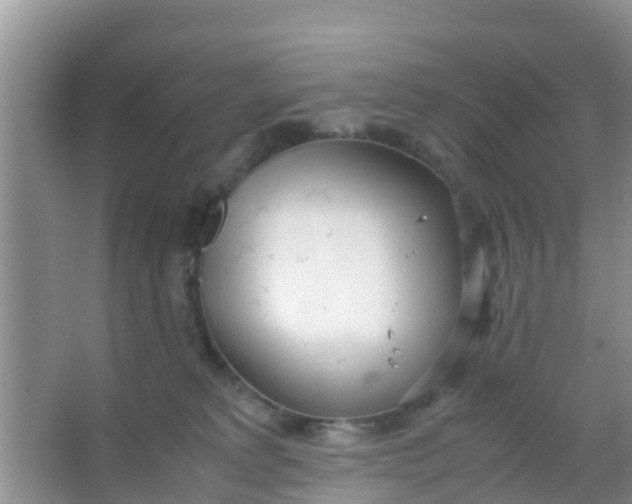 X0000066940229200604071920