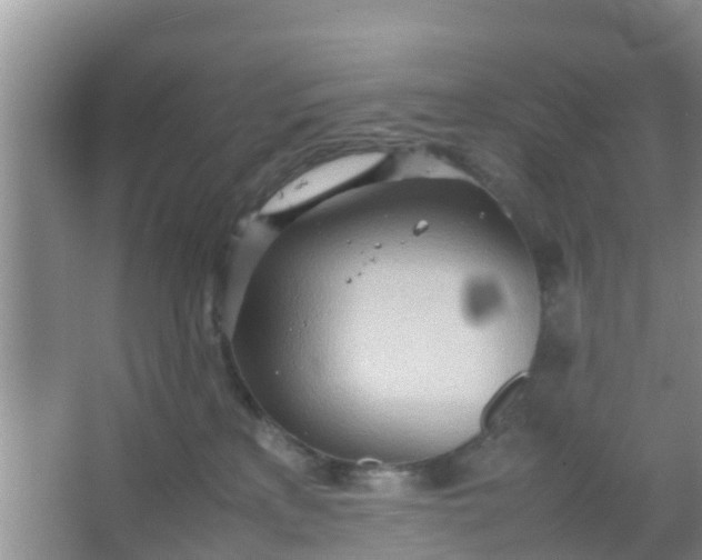 X0000066940233200604071920