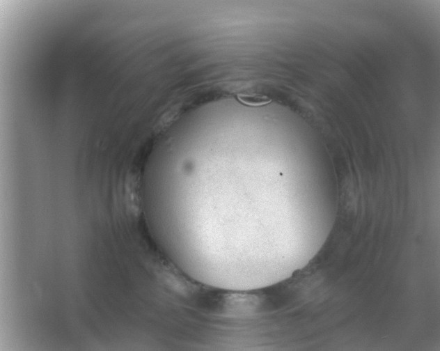 X0000066940234200604071920