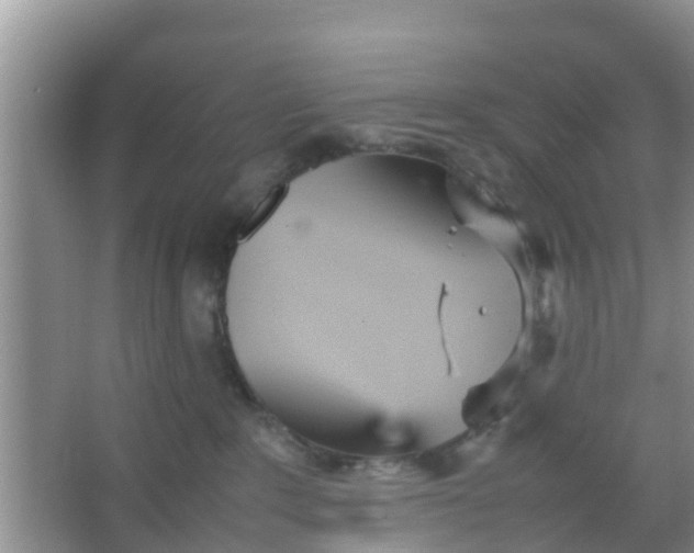 X0000066940235200604071920