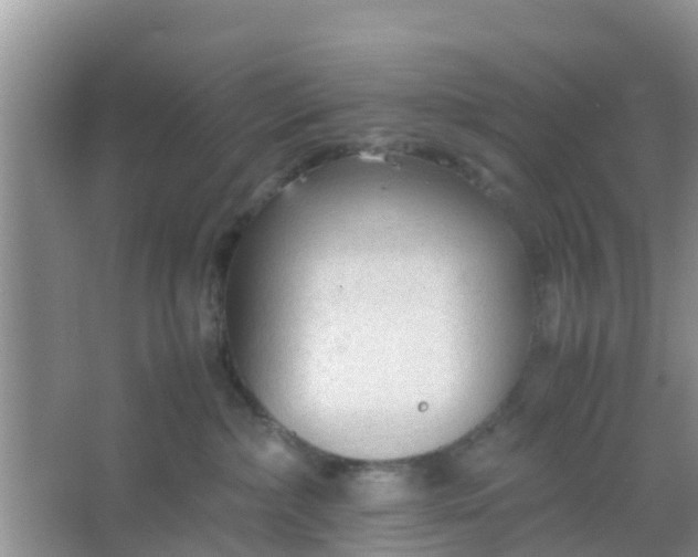 X0000066940236200604071920