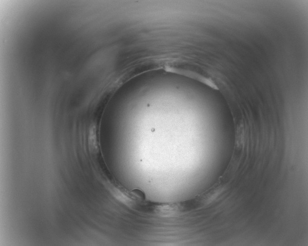 X0000066940238200604071920