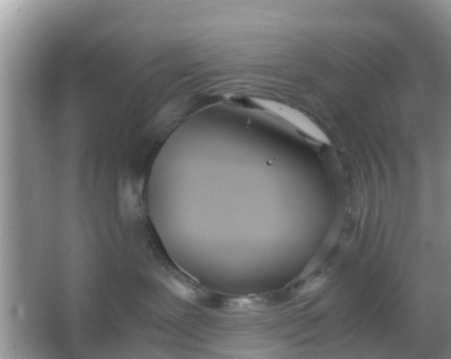 X0000066940239200604071920