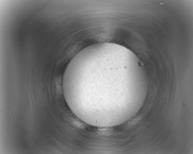 X0000066940240200604071920