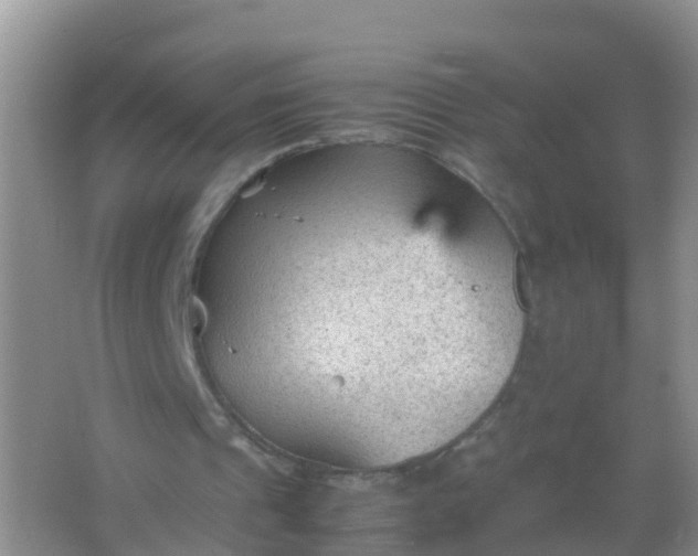 X0000066940241200604071919