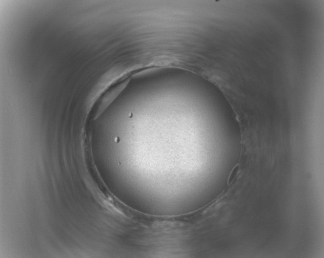 X0000066940242200604071919