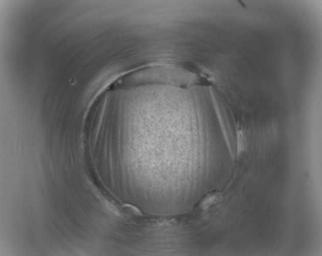 X0000066940243200604071919