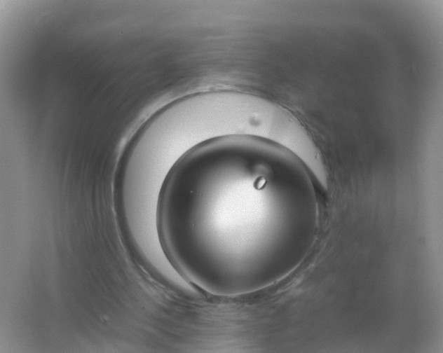 X0000066940244200604071919