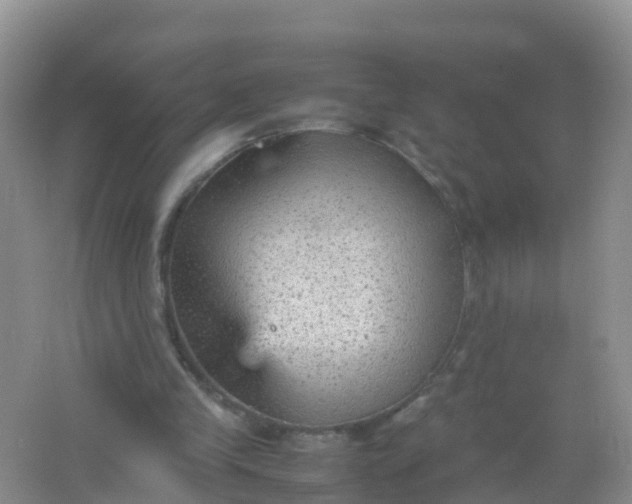 X0000066940245200604071920