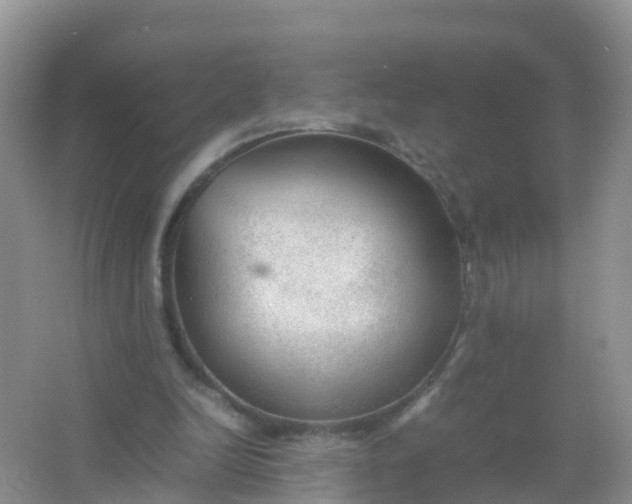 X0000066940246200604071920