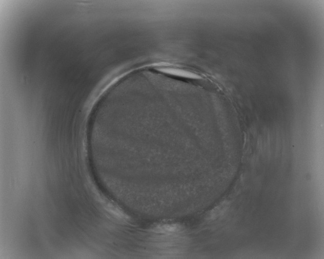 X0000066940247200604071920