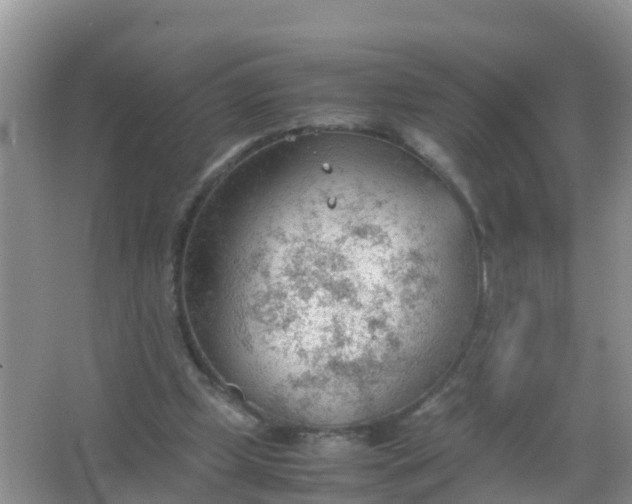 X0000066940249200604071920