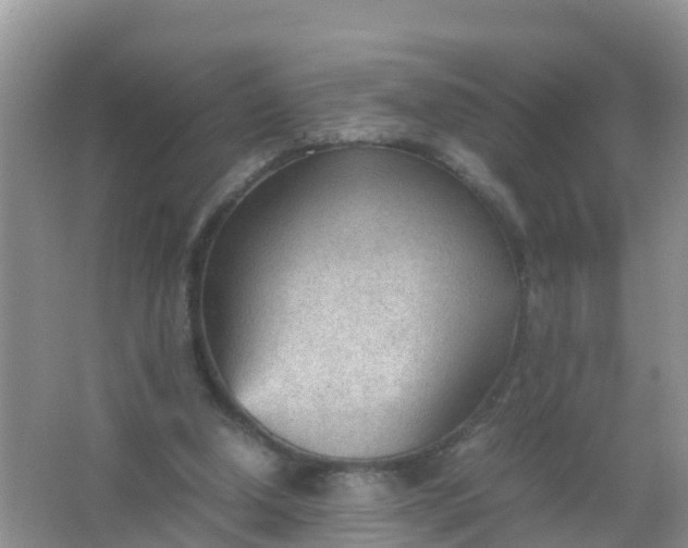 X0000066940250200604071920