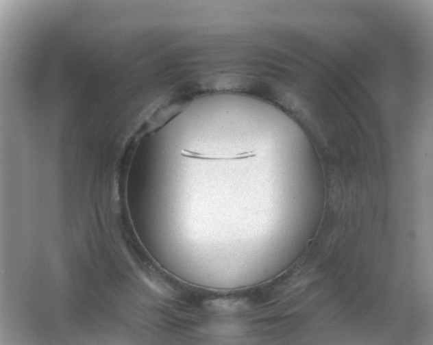 X0000066940251200604071920