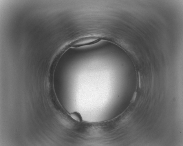 X0000066940252200604071920