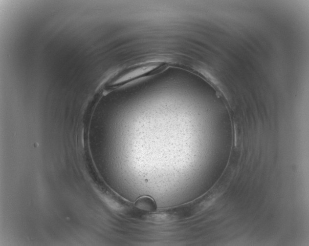 X0000066940253200604071920