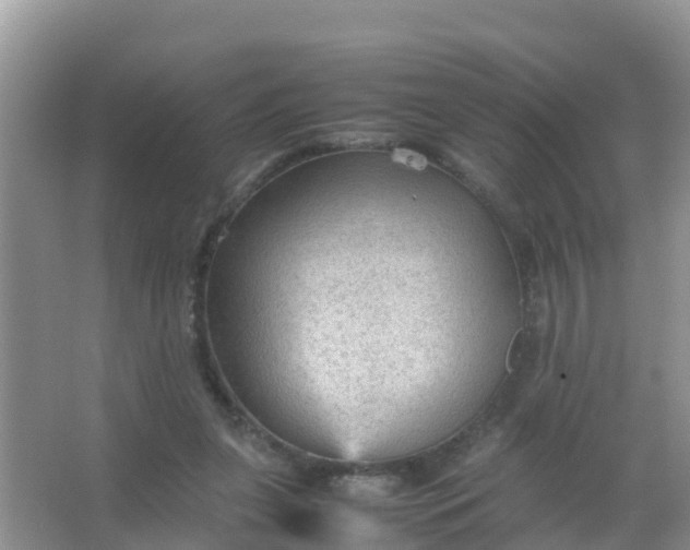 X0000066940255200604071920