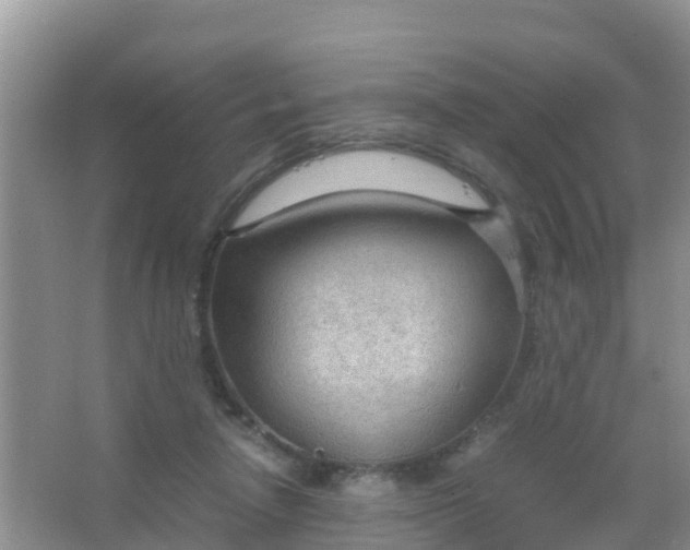 X0000066940258200604071920