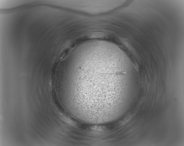 X0000066940261200604071920