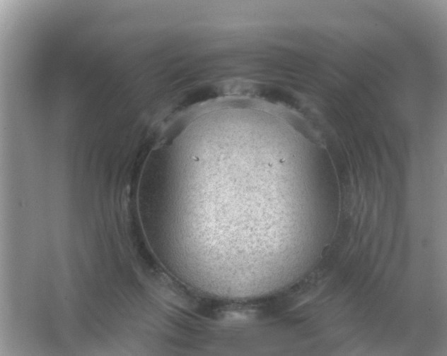 X0000066940263200604071920