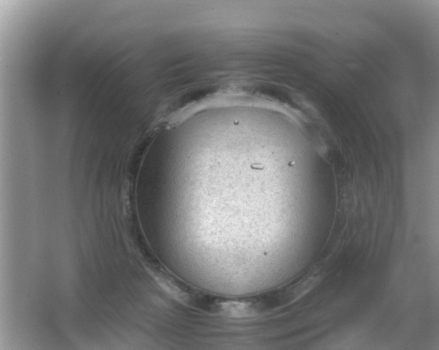 X0000066940265200604071920