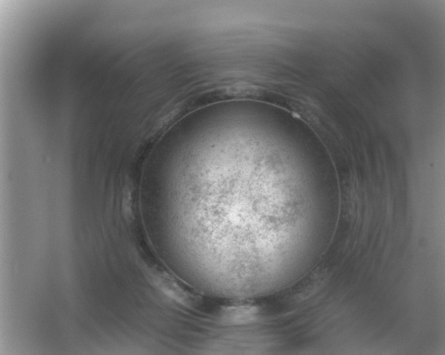 X0000066940266200604071920