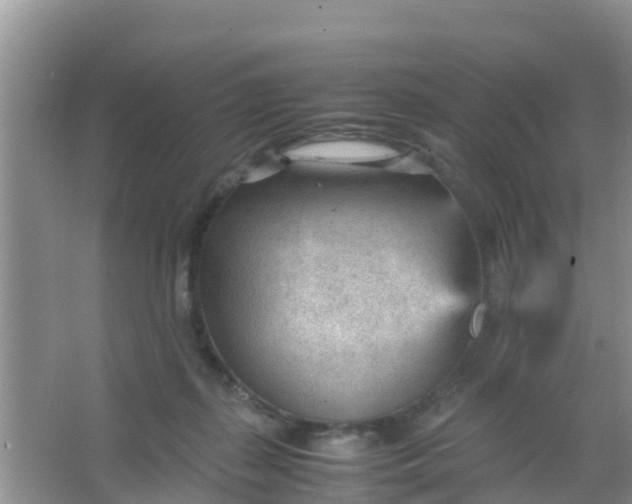 X0000066940267200604071920