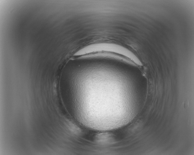 X0000066940269200604071920