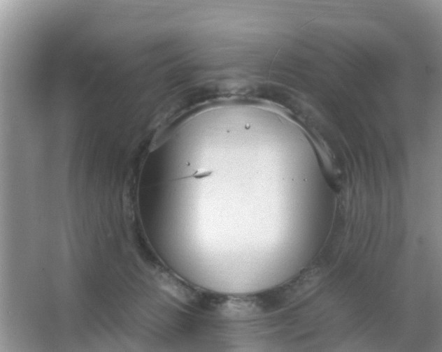 X0000066940270200604071920