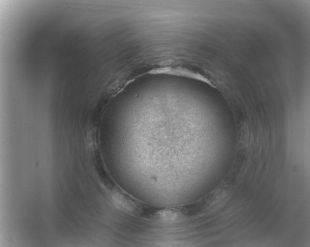 X0000066940272200604071920