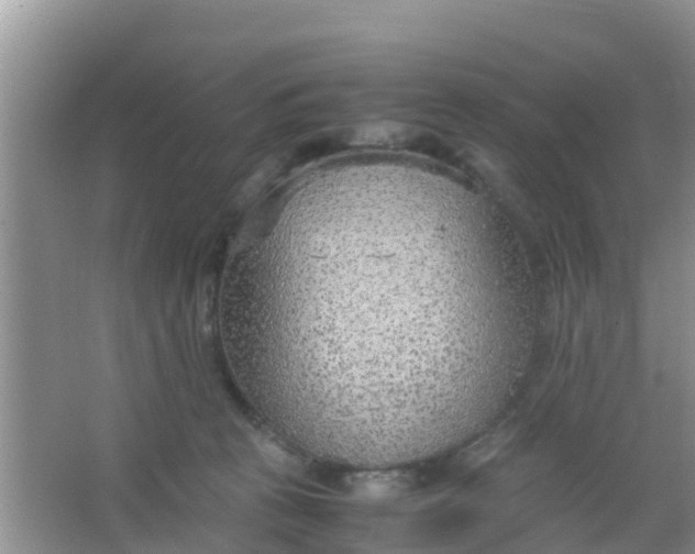 X0000066940273200604071920